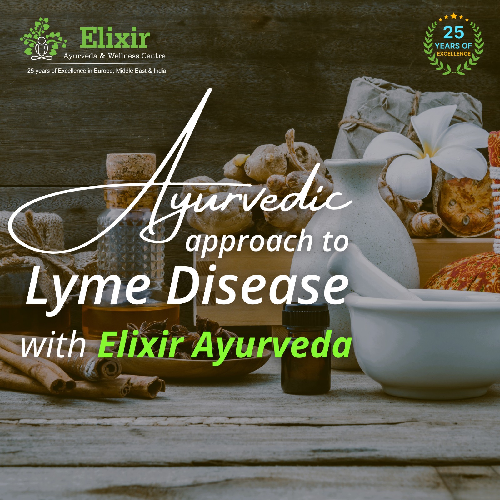 Lyme Disease: An Ayurvedic Perspective at Elixir Ayurveda Hospital & Wellness Centre